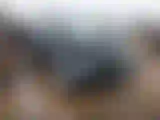 Vehicle Image- 2010 Ford Escape