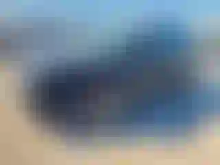 Vehicle Image- 2021 Ford Escape