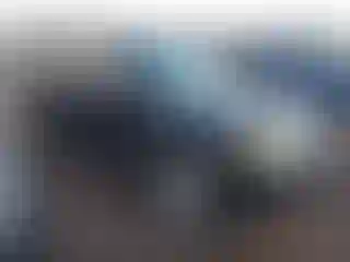 Vehicle Image- 2010 Ford Escape