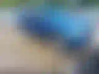 Vehicle Image- 2010 Ford Escape