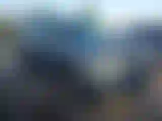 Vehicle Image- 2010 Ford Escape
