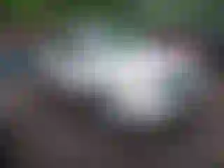 Vehicle Image- 2010 Ford Escape