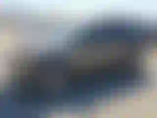 Vehicle Image- 2010 Ford Escape