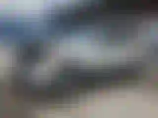 Vehicle Image- 2010 Ford Escape