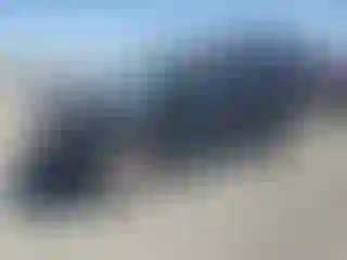 Vehicle Image- 2010 Ford Escape