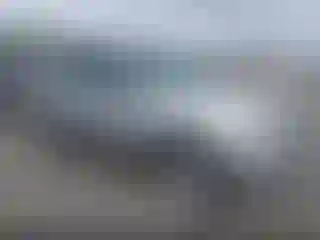 Vehicle Image- 2010 Ford Escape