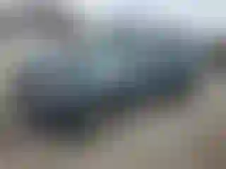 Vehicle Image- 2011 Ford Escape