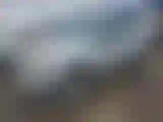 Vehicle Image- 2011 Ford Escape