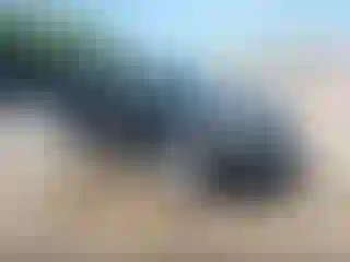 Vehicle Image- 2012 Ford Escape