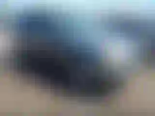 Vehicle Image- 2010 Ford Escape
