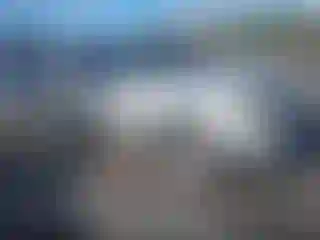 Vehicle Image- 2010 Ford Escape