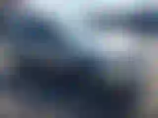 Vehicle Image- 2010 Ford Escape