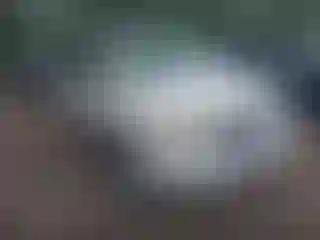 Vehicle Image- 2011 Ford Escape