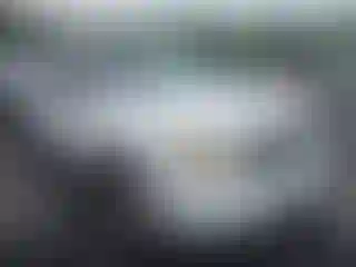 Vehicle Image- 2010 Ford Escape