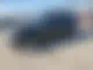 Vehicle Image- 2011 Ford Escape