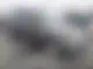 Vehicle Image- 2012 Ford Escape