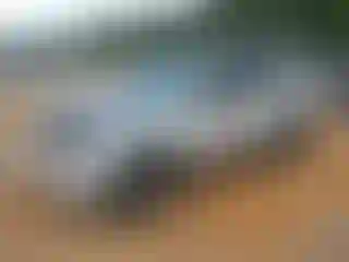 Vehicle Image- 2010 Ford Escape