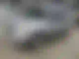 Vehicle Image- 2012 Ford Escape