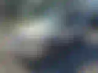 Vehicle Image- 2012 Ford Escape