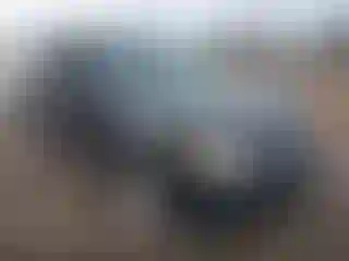 Vehicle Image- 2010 Ford Escape
