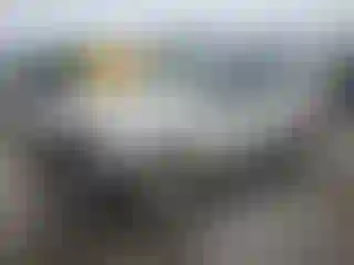 Vehicle Image- 2010 Ford Escape