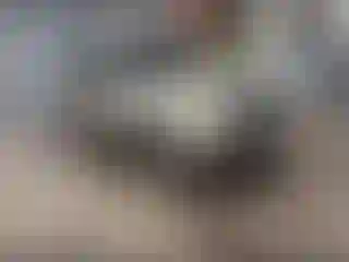 Vehicle Image- 2011 Ford Escape