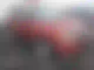 Vehicle Image- 2012 Ford Escape
