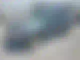 Vehicle Image- 2010 Ford Escape