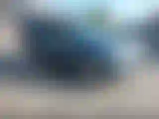 Vehicle Image- 2011 Ford Escape