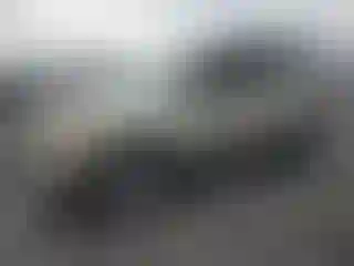 Vehicle Image- 2010 Ford Escape