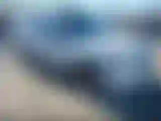 Vehicle Image- 2010 Ford Escape