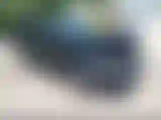 Vehicle Image- 2010 Ford Escape