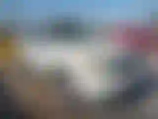 Vehicle Image- 2010 Ford Escape