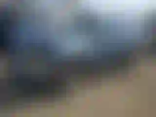 Vehicle Image- 2010 Ford Escape