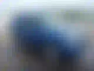 Vehicle Image- 2010 Ford Escape