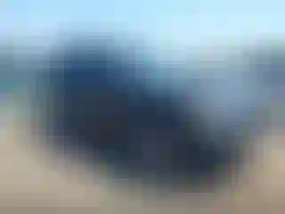 Vehicle Image- 2011 Ford Escape