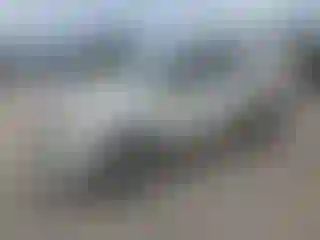 Vehicle Image- 2010 Ford Escape
