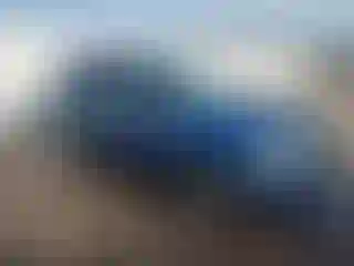 Vehicle Image- 2010 Ford Escape