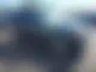 Vehicle Image- 2010 Ford Escape