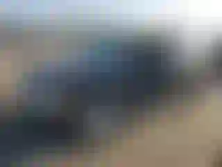 Vehicle Image- 2010 Ford Escape
