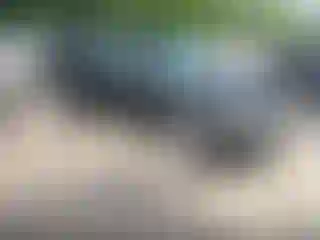 Vehicle Image- 2011 Ford Escape