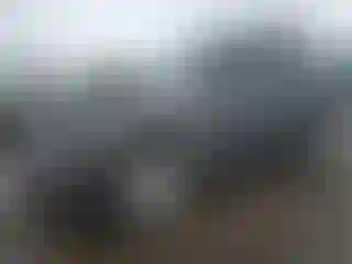 Vehicle Image- 2011 Ford Escape