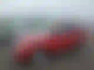 Vehicle Image- 2011 Ford Escape