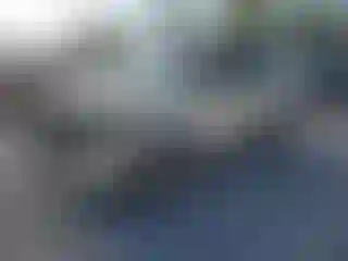 Vehicle Image- 2010 Ford Escape