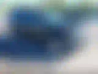 Vehicle Image- 2010 Ford Escape