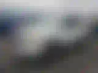 Vehicle Image- 2011 Ford Escape