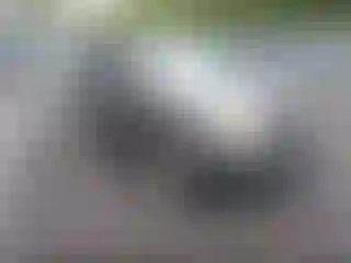 Vehicle Image- 2011 Ford Escape