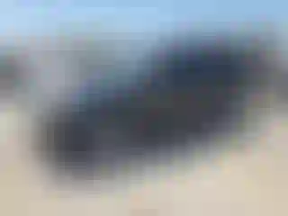Vehicle Image- 2010 Ford Escape