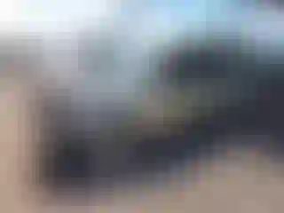 Vehicle Image- 2012 Ford Escape