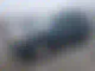 Vehicle Image- 2010 Ford Escape